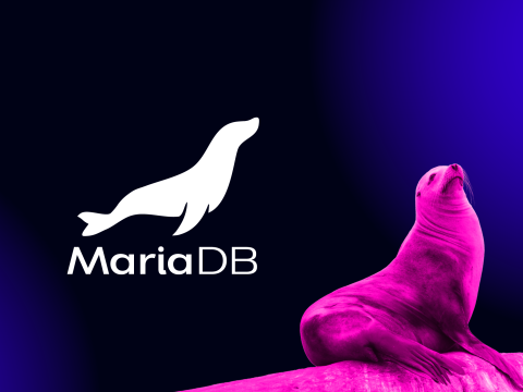 A stylized white seal logo and the text MariaDB appear on a dark blue background. Beside the logo, a real seal tinted in bright pink sits upright, looking upward.