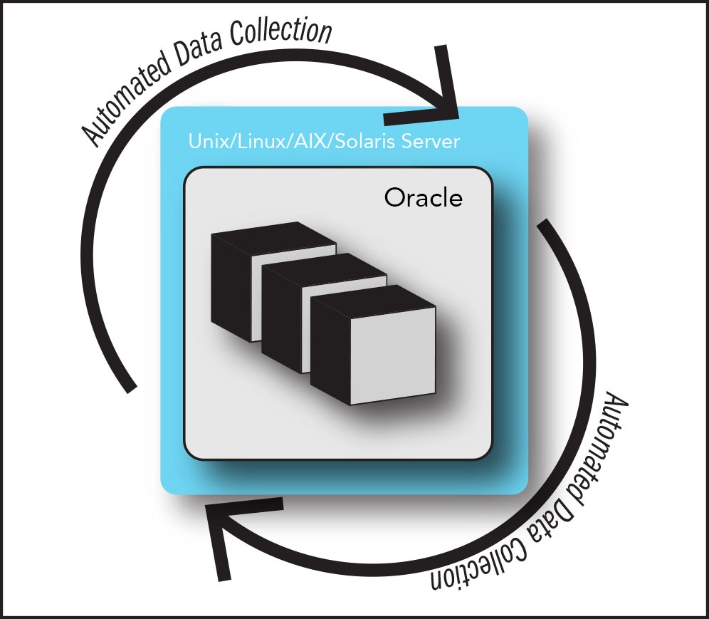 OracleGraphic