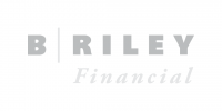 Gray logo with bold letters B RILEY separated by a vertical line, and the word Financial in a lighter, italicized font beneath.